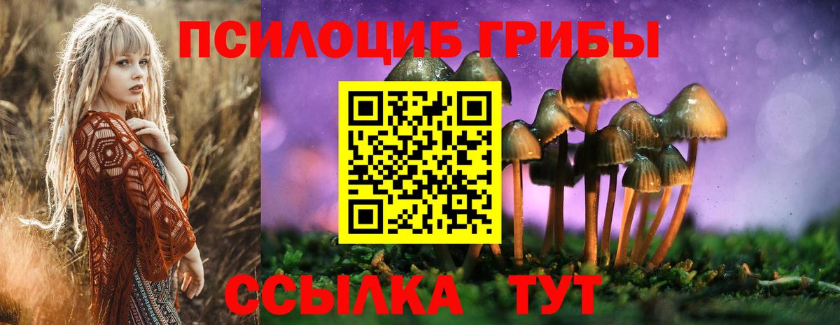 Полысаево  Псилоцибиновые грибы Psilocybe  Вход с VPN 
