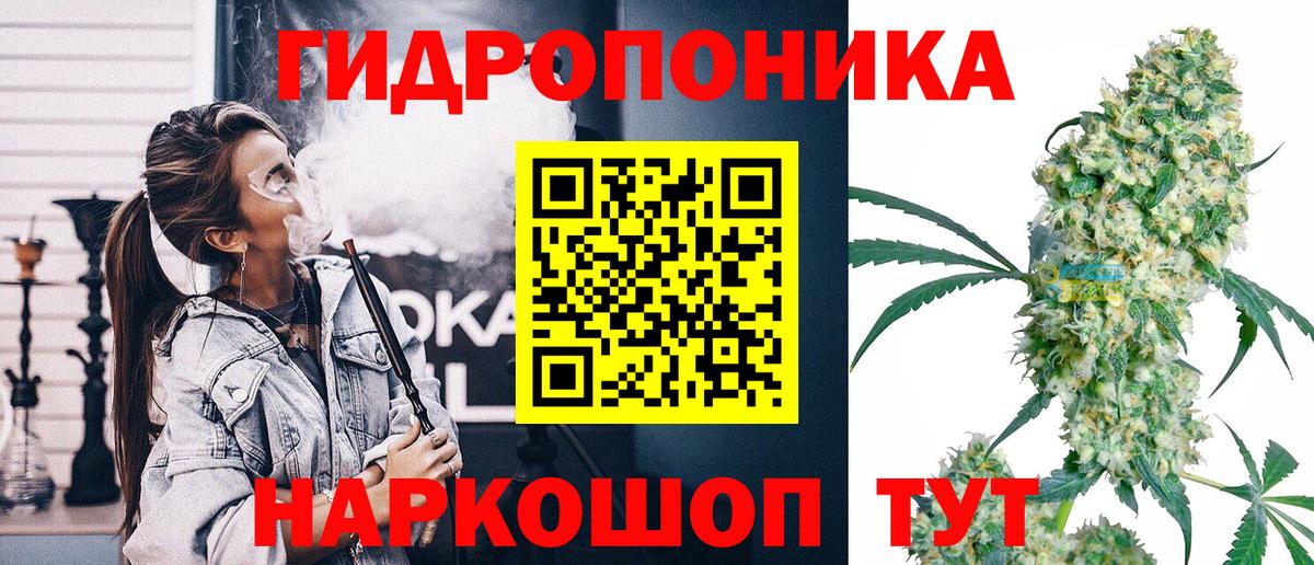 Шишки марихуана конопля Полысаево